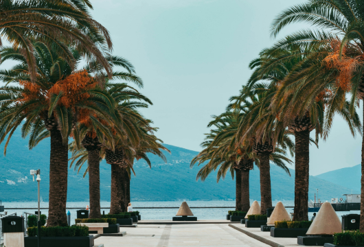 Tivat